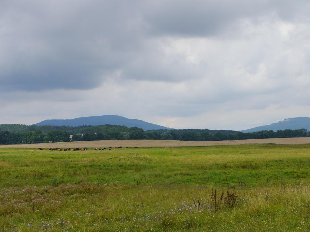 Cafe Im Hof- Bed & Breakfast Streufdorf 外观 照片